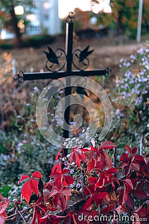 Old tombstones ruin in autmn forest, cemetery in evening, selective focus, vertical photo Stock Photo