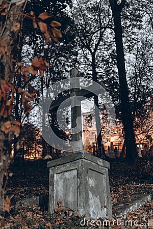 Old tombstones ruin in autmn forest, cemetery in evening, vertical photo Stock Photo