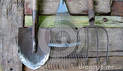 Old tools of the garden. fan rake, shovel, pitchfork Stock Photo