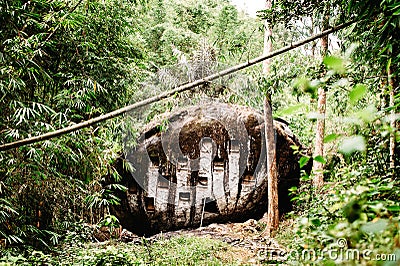 Old torajan burial site in Bori, Tana Toraja. The cemetery with coffins placed in a huge rock. Rantapao, Sulawesi, Indonesia Stock Photo