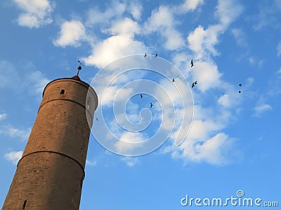 Tall old tower and birds in blue sky with white clouds Stock Photo