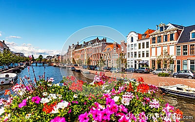 Old Town of Haarlem, Netherlands Stock Photo
