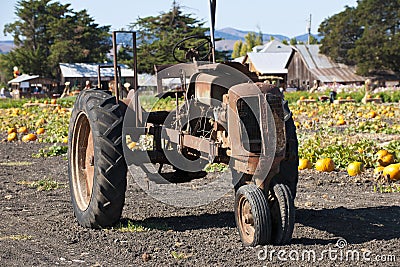 Old tractor in front of a pumpking field, California, USA Stock Photo