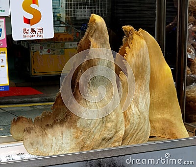 Old Tradition Culture China Macau Street Shark Fin Shop Chinese Dried Fish Maw Cuisine Delicacy Authentic Ethnic Food Seafood Editorial Stock Photo