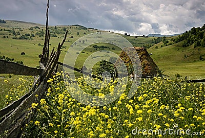 Old traditional Romanian barn with straw roof Stock Photo