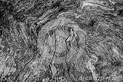 Old tree cutout showing woodgrain texture Stock Photo