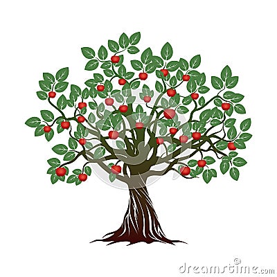 Old Tree with Green Leafs, Roots and Red Apples. Stock Photo