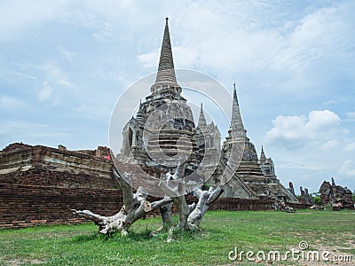 An Old Tree Stump Foreground Historic Temple In World Heritage City, Ayuddhaya. Stock Photo