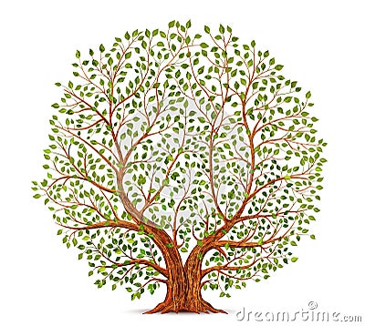 Old tree vector Vector Illustration