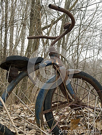 Old tricycle in forest Stock Photo