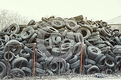 Old used damaged car tires at the dump Stock Photo