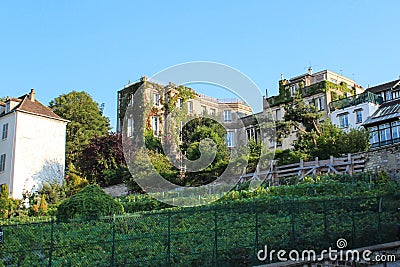 Old vineyard in the artists' quarter of Montmartre, Paris Editorial Stock Photo
