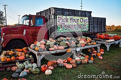 Antique Farm Truck With Pumpkins Editorial Stock Photo