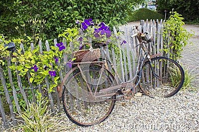 Old vintage bicycle with basket on a wooden fence Stock Photo