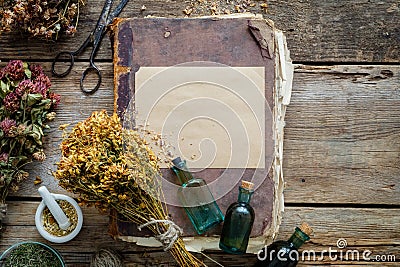 Old vintage book, tincture bottles, assortment of bunches of dry medicinal herbs, mortar. Herbal medicine. Stock Photo