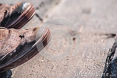 Old Vintage boots Stock Photo