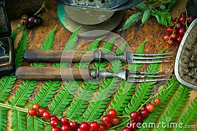 Old vintage forks, fern leaf berry currants Stock Photo