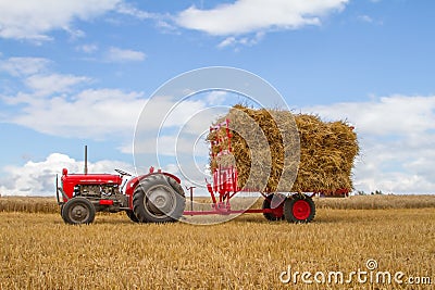 Old vintage Massey Ferguson and trailer in crop field Editorial Stock Photo