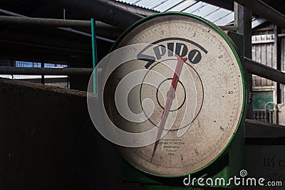 Old vintage 1946 scales produced in Amsterdam. Dirty working scales stand on a dairy farm Editorial Stock Photo