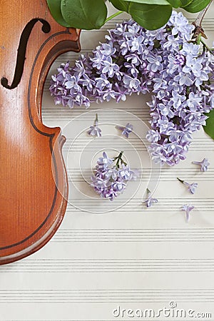 Old Violin and lilac flowers on white wooden background. Stringed musical instrument. Close up, top wiev, Love spring background Stock Photo