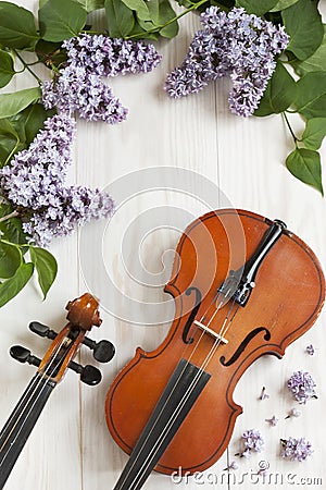 Old Violin and lilac flowers on white wooden background. Stringed musical instrument. Close up, top wiev, Love spring background Stock Photo