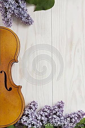 Old Violin and lilac flowers on white wooden background. Stringed musical instrument, top wiev, Love spring background Stock Photo