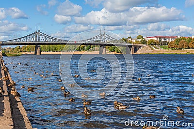 The old Volga bridge in Tver, Russia. Wild Mallard ducks swim in the river. Autumn Sunny day Stock Photo