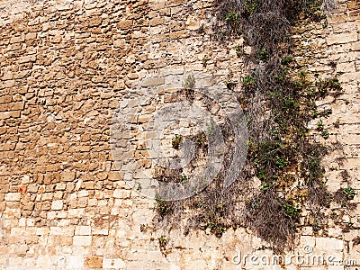 Old wall Stock Photo