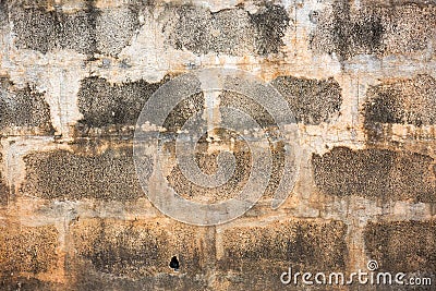 Old wall concrete fence seamless Stock Photo