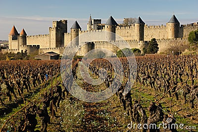 Old walled citadel and vinyards. Carcassonne. France Stock Photo