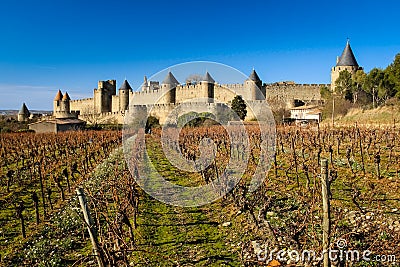 Old walled citadel and vinyards. Carcassonne. France Stock Photo
