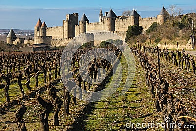 Old walled citadel and vinyards. Carcassonne. France Stock Photo