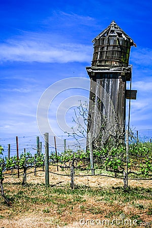Old water tower in a vineyard Stock Photo