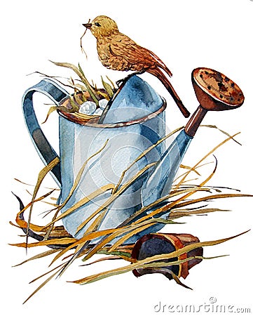 Old watering can with a nest of blue eggs Stock Photo