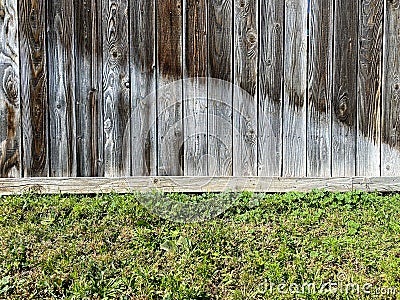 Old weathered garden yard fence with knotty wood and lush greenery ground cover lawn edge Stock Photo