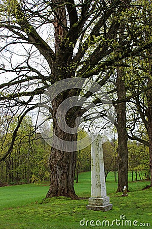 Intricate design of tall headstone weathered with age and elements, saratoga Monument and Victory Woods, New York, 2019 Editorial Stock Photo