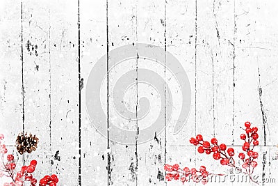 Old white wood texture with snow and holly berry Stock Photo