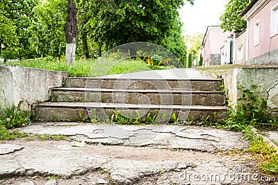 Old wide concrete steps. Against the backdrop of green trees. Summer day Stock Photo