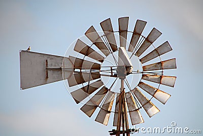 Old windmill with little bird Stock Photo