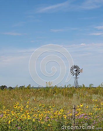 Old Windmill on a Sandhill Prairie in Nebraska with Native Sunflowers in the Foreground Stock Photo