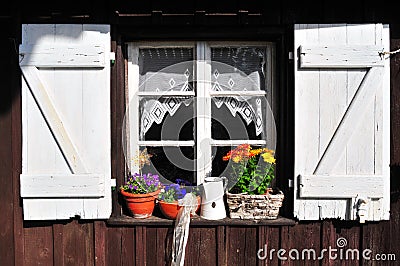 Old window garden shed Stock Photo