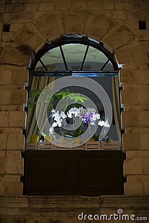 Old window with orchids Stock Photo