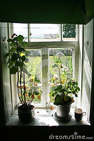 An old window in the village, two pots of geraniums on the windowsill. View of the garden. summer Stock Photo