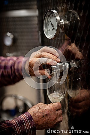 Old winemakers hands pouring a glass of wine from modern inox ta Stock Photo