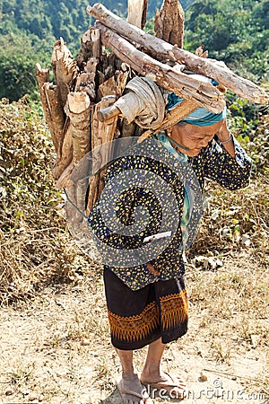 Old woman Asia carry firewood Stock Photo