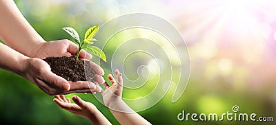 Old Woman Giving Young Plant To A Child Environmental Protection Stock Photo