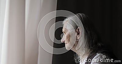 Old Woman With Long Gray Hair Stock Footage Video Of Grandmother Person