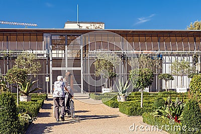 An old woman walking in the Park of her disabled husband Editorial Stock Photo