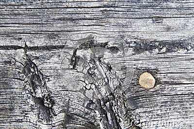 Old wood board in macro Stock Photo