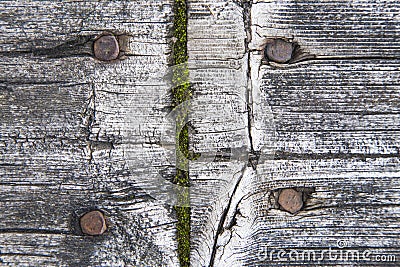 Old wood board in macro Stock Photo